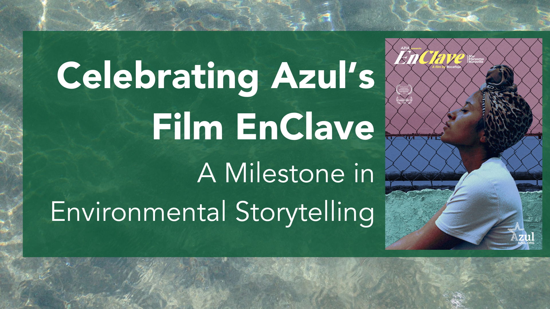 Celebrating Azul's Film EnClave: A Milestone in Environmentla Storytelling